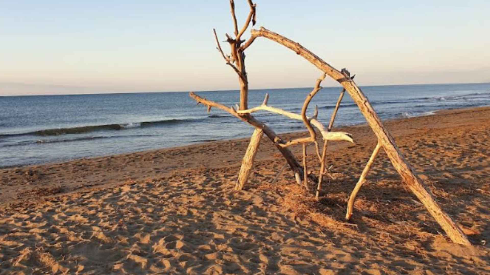 playa la Platjola (Alcanar)